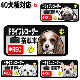 母の日 プレゼント 1000円ポッキリ ドラレコ ステッカー かわいい ドライブレコーダー ステッカー 録画中 犬 シール マグネット グッズ 雑貨 キャバリア コーギー パグ フレンチブルドッグ マルチーズ いぬ 車用ステッカー 犬雑貨 車に貼る 車 ワンポイント