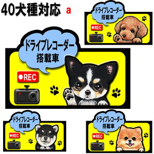 ドラレコ ステッカー かわいい マグネット ドライブレコーダー 犬 ステッカー グッズ 雑貨 シーズー トイプードル チワワ 柴犬 シュナウザー ダックスフンド ポメラニアン 誕生日 ラッピン