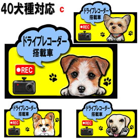 ドラレコ ステッカー かわいい ドライブレコーダー 録画中 犬 ステッカー シール グッズ 雑貨 ウェスティ ビーグル シェルティ ペキニーズ ヨーキー パピヨン ゴールデンレトリバー ジャックラッセルテリア ビーグル ラブラドールレトリバー 車 録画 母の日 父の日