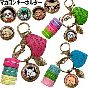 1000~|bL }J L[z_[ ` gCv[h V[Y[ _bNXth Č t`uhbO R[M[ }`[Y ViEU[ ObY G IWi  mxe