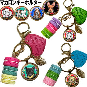 1000~|bL }J L[z_[  ObY G av[g VFp[h Xsbc o[j[Y}EehbO AJRbJ[XpjG S[fgo[ ~js 