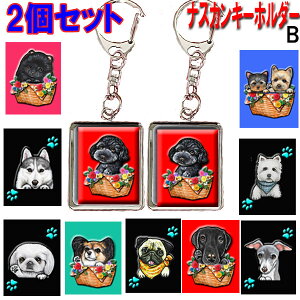 iXJ L[z_[ 2Zbg LoA |jA pO [L[ WbNbZeA yLj[Y VFeB ps r[O ObY G IWi  Mtg a