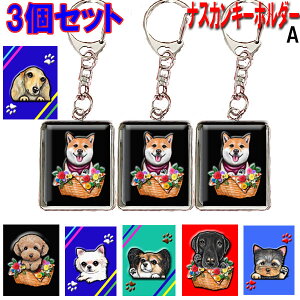 iXJ L[z_[ 3Zbg ` gCv[h V[Y[ _bNXth Č t`uhbO R[M[ }`[Y ViEU[ ObY G IWi  mxeB 