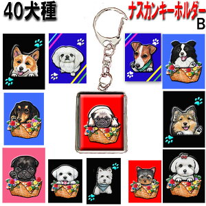 L[z_[ ObY G {XgeA LoA ps ~j`AViEU[ WbNbZeA |jA [L[ VFeB EFXeB {XgeA LoA