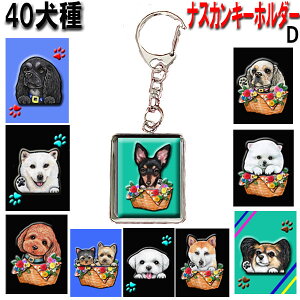 L[z_[ ObY G S[fgo[ rVt[[  _VA Hc oZbgnEh C^O L C^AO[nEh VFp[h VFbhhV[v C