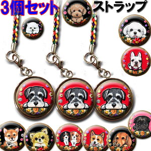 Xgbv 3Zbg X}z X}[gtH ` gCv[h V[Y[ _bNXth Č t`uhbO R[M[ }`[Y ViEU[ ObY G IWi  m