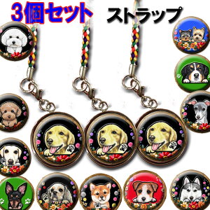 Xgbv 3Zbg LoA |jA pO [L[ WbNbZeA yLj[Y VFeB ps r[O ObY G IWi  av[g NX