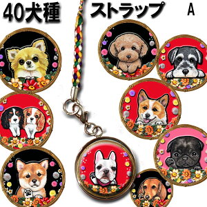 g Xgbv ObY G ` gCv[h t`uhbO Č _bNXth R[M[ |jA pO V[Y[ ` t`uhbO LoA R[M[ |