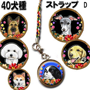 g Xgbv ObY G S[fgo[ rVt[[  _VA Hc C^O L C^AO[nEh VFp[h VFbhhV[v S[fg