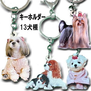 L[z_[ pO EFXeB zCgeA LoA V[Y[ ViEU[ ObY pO t`uhbO G }`[Y [L[ S[fgo[ G LoA V[Y