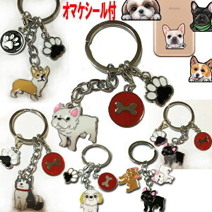 1000~|bL   L[z_[ V[Y[ WbNbZeA R[M[ ViEU[ t`uhbO VxAnXL[ EFXeB r[O }`[Y L[O 