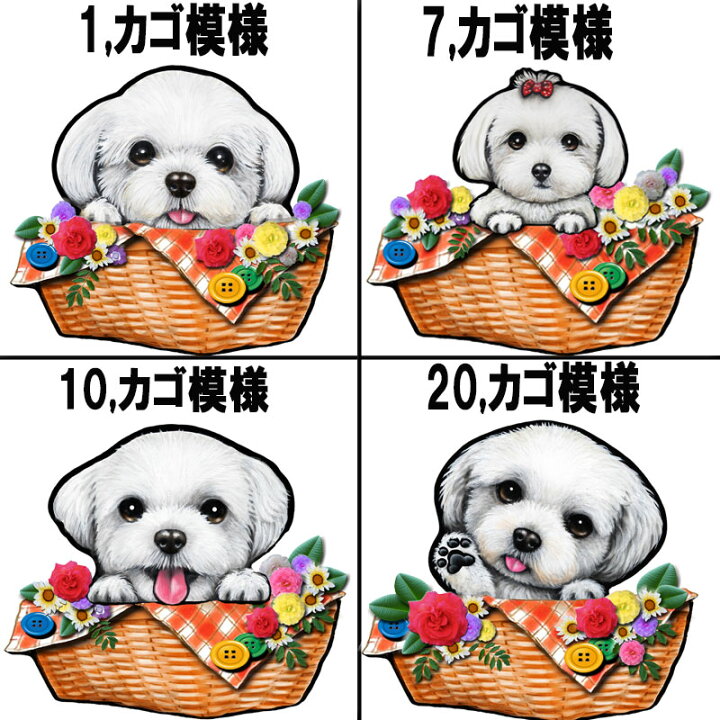 楽天市場 マルチーズ 犬柄 プルオーバー パーカー 犬 オリジナル シャツ グッズ 雑貨 誕生日 ラッピング オーナーグッズ レディース メンズ 可愛い オーダーメイド かわいい ギフト ハロウィン ステッカーグッズの わんdayペット