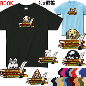  tVc fB[X  BOOK ͗l  ObY G av[g Hc b㌢ L oZbgnEh _VA VFbhhV[v kC [NheA ue