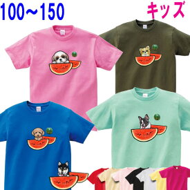 犬 犬 tシャツ スイカ 模様 キッズ 子供 子ども 犬 グッズ 雑貨 誕生日プレゼント シーズー トイプードル チワワ 柴犬 柴犬グッズ シュナウザーグッズ シュナウザー ダックスフンド フレンチブルドッグ 専門店 誕生日プレゼント 父の日