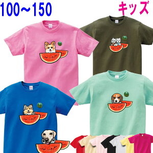 XCJ ͗l LbY q qǂ  ObY G av[g [L[ EFXeB ps r[O VFeB rVt[[ uh[go[ VxAnXL[ u