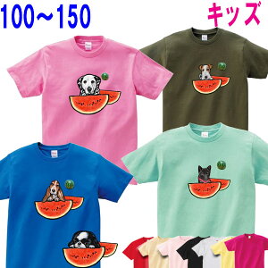 XCJ ͗l LbY q qǂ  ObY G av[g  Hc b㌢ L oZbgnEh _VA VFbhhV[v kC [NheA ueA C^