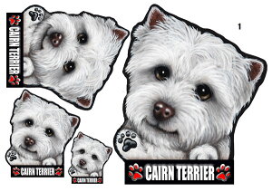 1000~|bL   XebJ[  킢  PAeA 2  I[_[ Ch  X[cP[X   ObY G PA[eA V[ DOG IN CAR ԗpXe