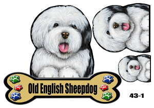 I[hCObVV[vhbO 1 1000~|bL  XebJ[  킢   I[_[ Ch STCY  X[cP[X   I[hCObVV[v