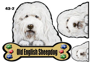 I[hCObVV[vhbO 2 1000~|bL  XebJ[  킢   I[_[ Ch STCY  X[cP[X   I[hCObVV[v