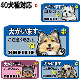 1000円ポッキリ 犬がいます ステッカー シール マグネット 番犬 猛犬 脱走防止 犬 イヌ いぬ ペット 玄関 ポスト 表札 セキュリティ 防犯 かわいい グッズ 雑貨 シーズー トイプードル チワワ 柴犬 シュナウザー ダックスフンド オーナーグッズ 母の日 父の日 プレゼント
