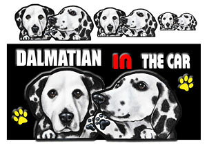  _VA ObY G _VA  XebJ[ _VA 201 V[  _VA G ObY ԗpXebJ[ G _VA ObY G _VA 