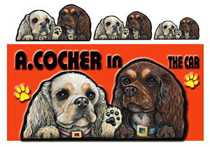 }Olbg AJRbJ[XpjG ObY G   XebJ[ AJRbJ[XpjG 203  XebJ[ԗpXebJ[ AJRbJ[XpjG  Mtg N