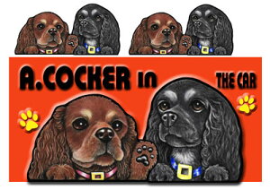 }Olbg AJRbJ[XpjG ObY G ꌢ XebJ[ AJRbJ[XpjG 202  XebJ[ԗpXebJ[ AJRbJ[XpjG  Mtg N