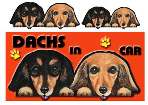 _bNXth G ObY  }Olbg XebJ[ _bNXth 201  XebJ[ԗpXebJ[ ~j`A_bNXth G ObY  Mtg av[g NX}