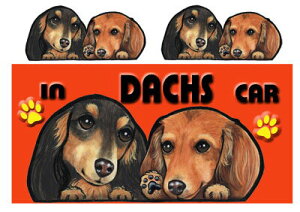 _bNXth G ObY  }Olbg XebJ[ _bNXth 205  XebJ[ԗpXebJ[ ~j`A_bNXth G ObY  Mtg av[g NX}