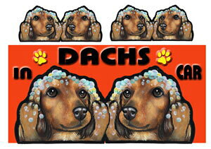 _bNXth G ObY  }Olbg XebJ[ _bNXth 206  XebJ[ԗpXebJ[ ~j`A_bNXth G ObY  av[g NX}X v