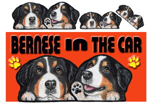 o[j[Y}EehbO@ObY G  }Olbg XebJ[ o[j[Y}EehbO3  XebJ[ԗpXebJ[  Mtg av[g NX}X v[g