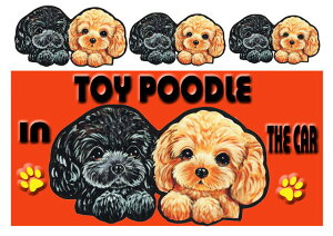 gCv[h G ObY  XebJ[ gCv[h 201 V[  O l[ ObY  XebJ[ ԗpXebJ[ gCv[h ObY G  av[g NX