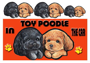 gCv[h G ObY  XebJ[ gCv[h 203 V[  O l[ ObY  XebJ[ ԗpXebJ[ gCv[h ObY G  av[g N