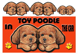 }Olbg gCv[h ObY G   XebJ[ gCv[h 205  XebJ[ԗpXebJ[ gCv[h ObY G v[h  av[g NX}X v[g