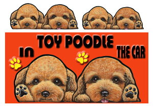 }Olbg gCv[h ObY G   XebJ[ gCv[h 212  XebJ[ԗpXebJ[ gCv[h ObY G v[h  av[g NX}X v[g