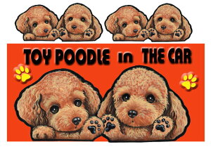 gCv[h G ObY  XebJ[ gCv[h 216 V[  Ol[ ObY  XebJ[ ԗpXebJ[ gCv[h ObY G  av[g N