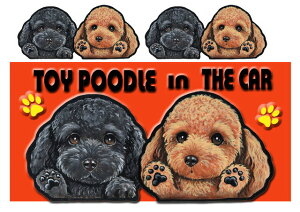 gCv[h G ObY  XebJ[ gCv[h 217 V[  Ol[ ObY  XebJ[ ԗpXebJ[ gCv[h ObY G  av[g N