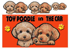 }Olbg gCv[h ObY G   XebJ[ gCv[h 220  XebJ[ԗpXebJ[ gCv[h ObY G  av[g NX}X v[g