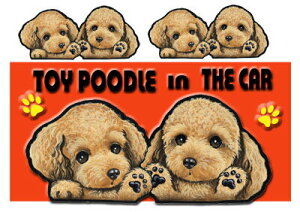 V[ }Olbg gCv[h 231 G ObY  XebJ[ gCv[h V[  O l[ ObY  XebJ[ ԗpXebJ[ gCv[h ObY  NX