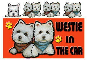 }Olbg EFXeB ObY zCgEeA EGXgnCh zCgeA ObY G   XebJ[ EFXeB 8 EGXeB  XebJ[ ԗpXebJ[ ObY G