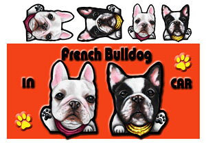 t`uhbO G ObY   XebJ[ t`uhbO 202 t`EuhbO V[  l[  G ObY ԗpXebJ[ t`uhbO  N