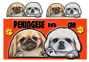  yLj[Y ObY G  XebJ[ yLj[Y 203 V[  l[ yLj[Y G ObY  XebJ[ ԗpXebJ[ G yLj[Y ObY G XebJ[ 