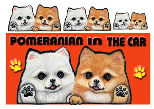  |jA ObY G }Olbg  XebJ[ |jA 204 l[ XebJ[ |jA ObY G  XebJ[ԗpXebJ[ |jAObY }Ol