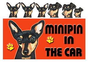 ~j`AsV[ ObY G  }Olbg XebJ[ ~js 1  XebJ[ԗpXebJ[ ~j`AsV[ ObY G  av[g nEB v[