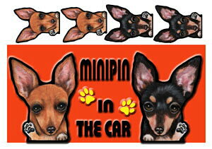  ~js ObY G ~j`AsV[  XebJ[ ~js 202  XebJ[ V[  ~j`AsV[ G ObY ԗpXebJ[ ~js ObY G ~j`