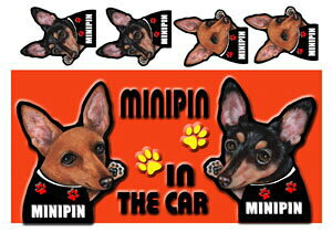 ~j`AsV[ ObY G  }Olbg XebJ[ ~js 201  XebJ[ԗpXebJ[ ~j`AsV[ ObY G  av[g nEB v[