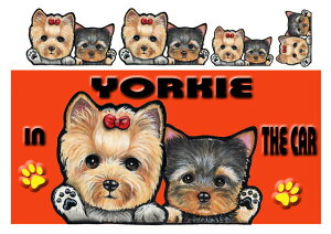 [NV[eA ObY G  }Olbg XebJ[ [L[ 204  XebJ[ [L[ [NV[eA ObY G  av[g NX}X v[g