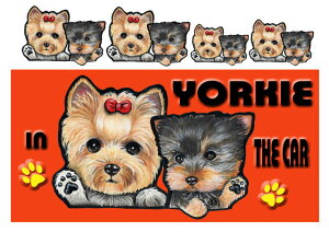 [NV[eA ObY G  }Olbg XebJ[ [L[ 205  XebJ[ [L[ [NV[eA ObY G  av[g NX}X v[g