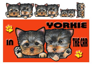  [L[ ObY G [NV[eA ObY  XebJ[ [L[ 206 [NV[eA [NVeA  l[ V[ [L[ G ObY ԗpXebJ[ [