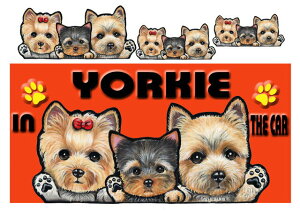  [L[ ObY G [NV[eA ObY  XebJ[ [L[ 207 [NV[eA [NVeA  O l[ V[ G ObY ԗpXebJ[ [